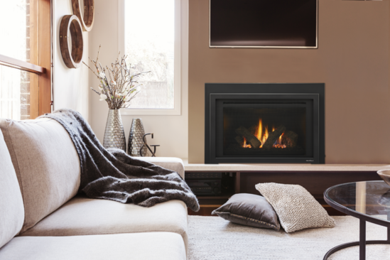 Heat & Glo Provident Gas Fireplace Insert